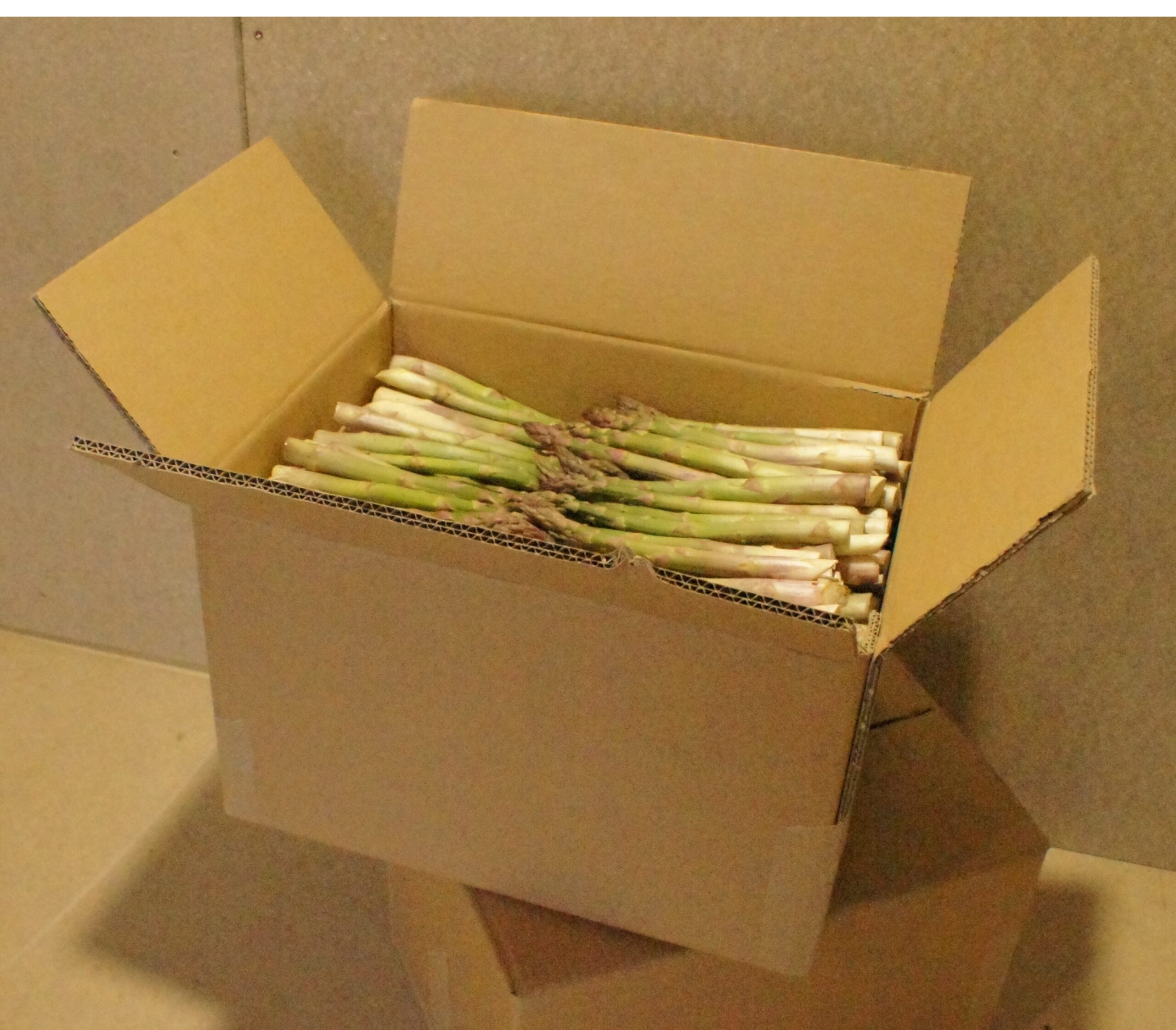 ŠEFO smidrai draugams, 12 kg. (dėžė) 24 vnt. po 500 gr.